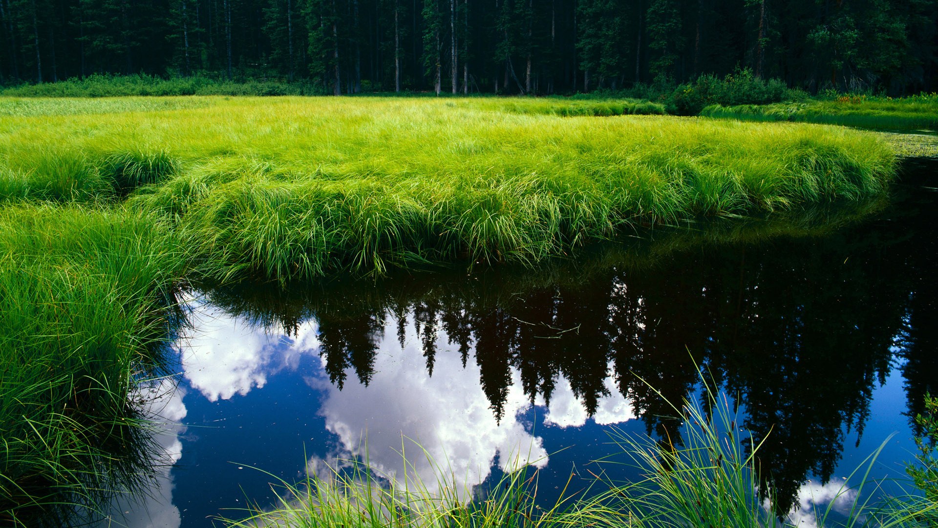 开云体育博彩-利物浦2-0狼队，克洛普告别战胜利，利物浦队教练克洛普