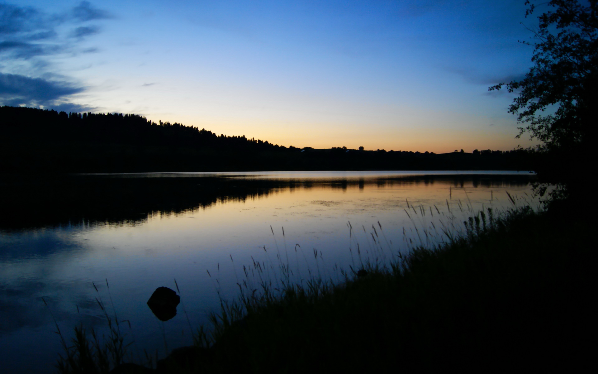 开云体育APP下载-尼斯主场惜败，法甲卫冕梦或将破灭，尼斯队主场