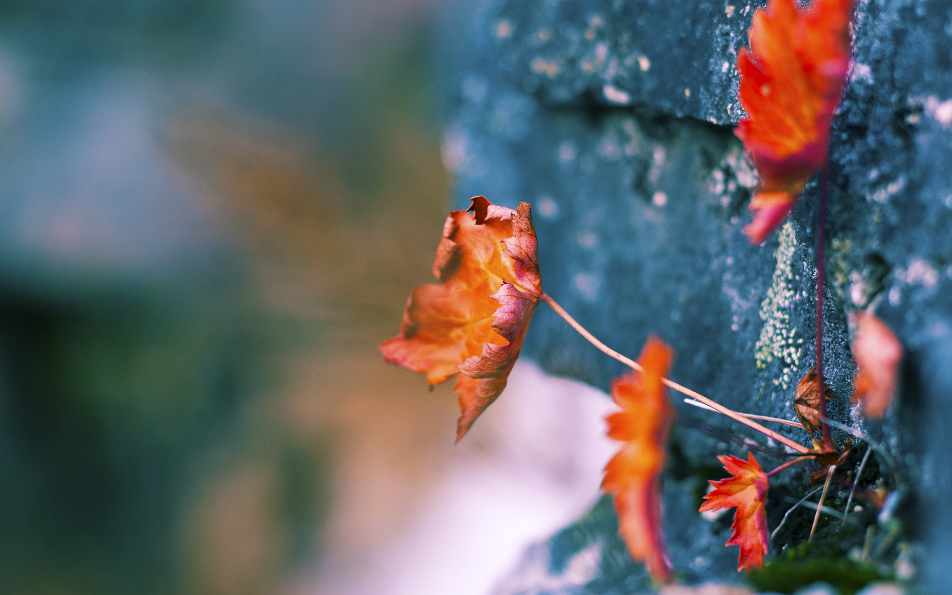 开云下载-球队备战新赛季CBA联赛，继续冲刺，cba篮球新赛季