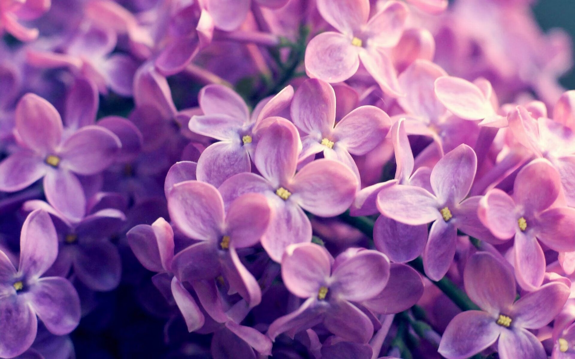 开云体育官方app-运动项目分级教学在小学体育课堂中的实践路径，大中小学体育运动技能等级标准