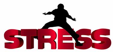 开云体育APP-冠军光环背后的心理压力你了解吗，冠军光环属性