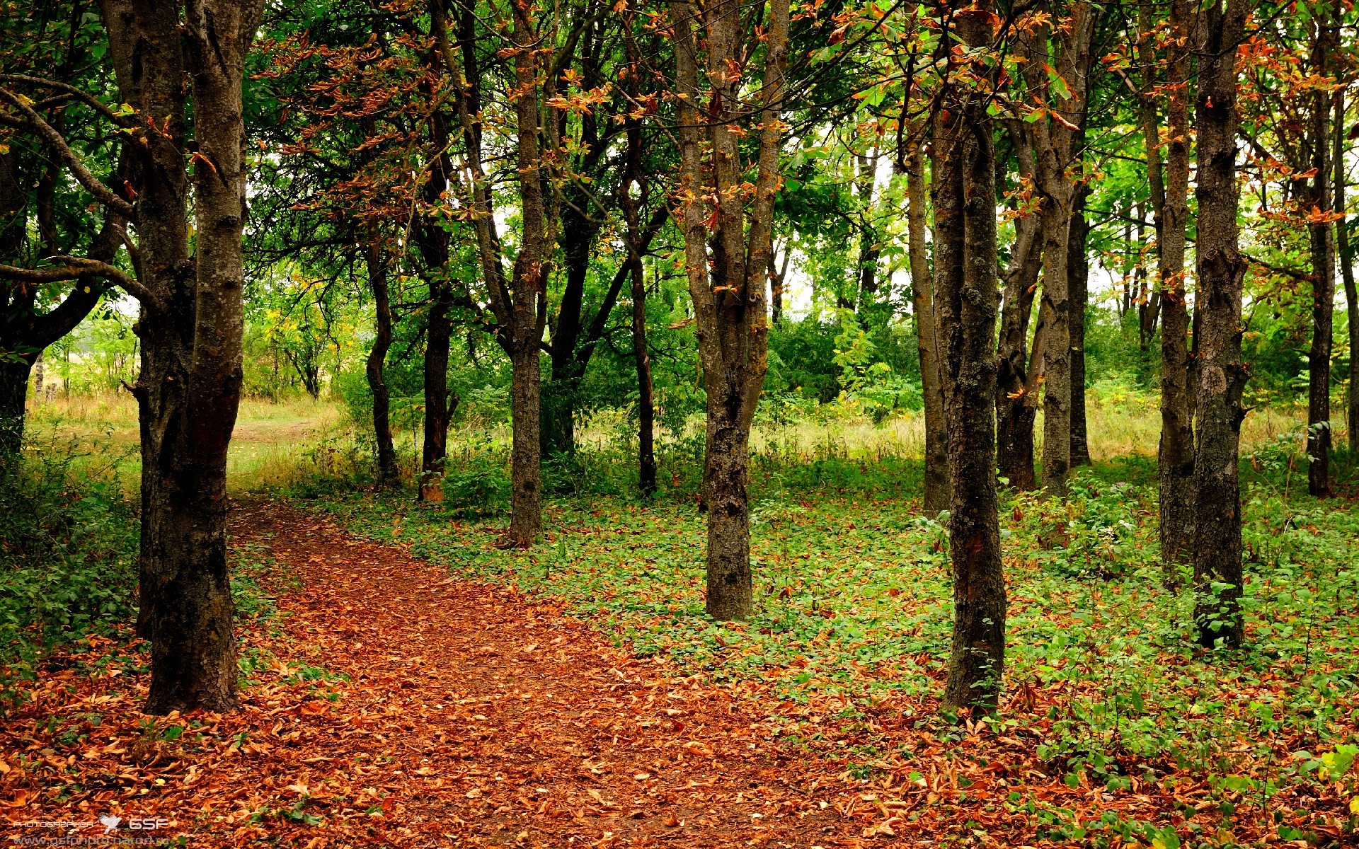 开云体育保障-新加坡乒乓未来发展：如何在国际乒乓大赛中巩固自身地位，新加坡乒乓球世界冠军