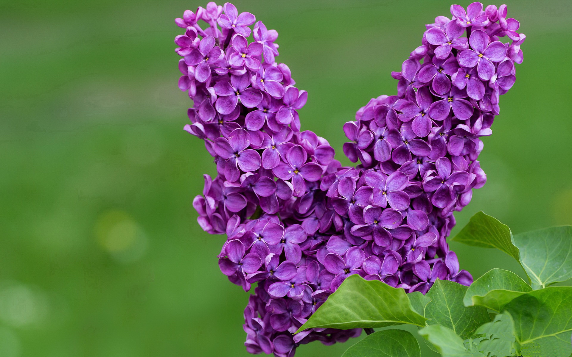 俱乐部通过多渠道听取球迷反馈积极推动服务体验迭代升级，足球俱乐部的渠道通路