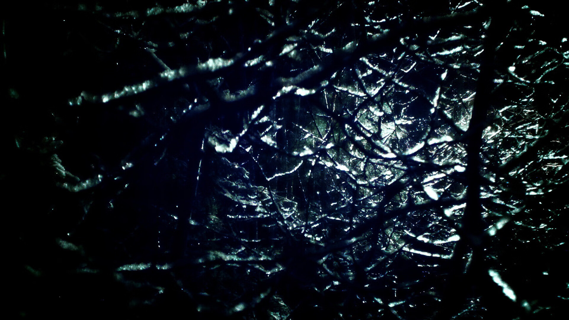 开云体育客户端-马术青少年训练计划全国推广，马术国家青少年队员名单